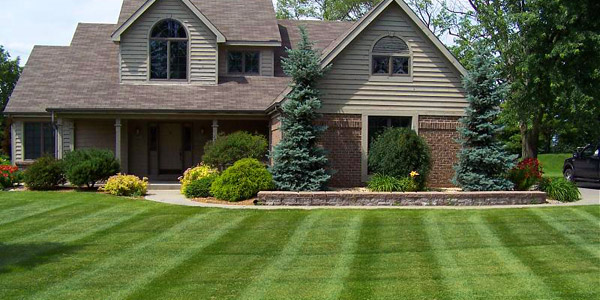 lawn services